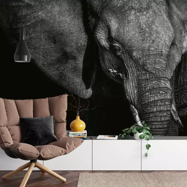 Papier Peint Photo Beautiful Elephant Éléphant, Animaux, Nature 3,84 M X 2,6 M