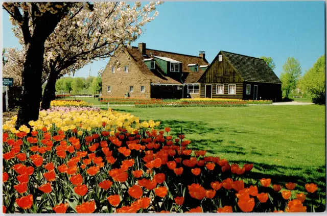 Holland Michigan Tulip Time Flowers Veldheers Garden Dutch Vintage Postcard