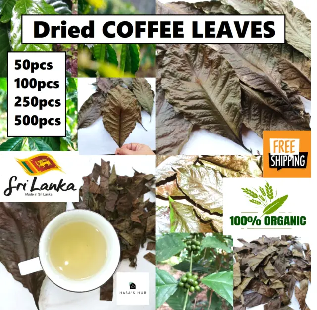 Herbal Menopause Tea Blend - 6 Organic Herbs Recipe to Relief