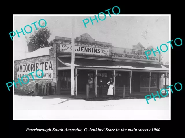 OLD LARGE HISTORIC PHOTO OF PETERBOROUGH SA THE JENKINS GENERAL STORE c1900