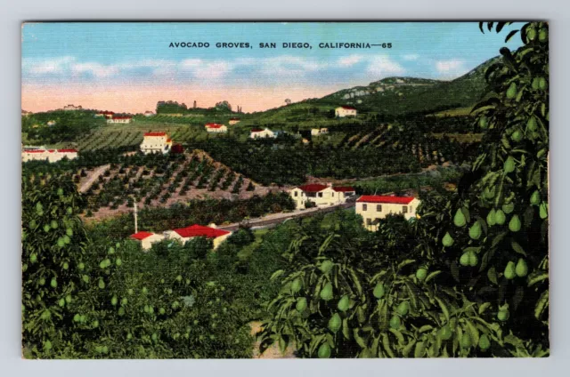 San Diego CA-California, Aerial View Avocado Groves, Antique Vintage Postcard