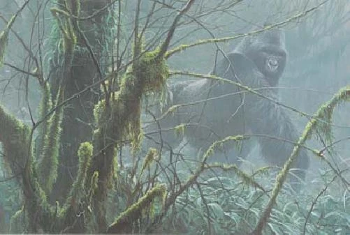 Robert Bateman Intrusion Mountain Gorilla Canvas Giclee
