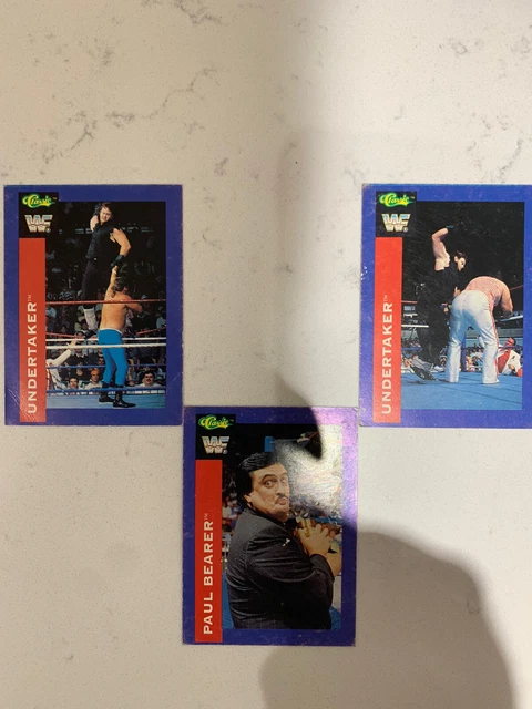 Carte à Collectionner WWF Merlin 1991 - Texas Tornado (ITA) - Vintage Wrestling