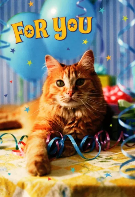 Happy Birthday Orange Tabby Kitty Cat Kitten Feline Good Hallmark Greeting Card