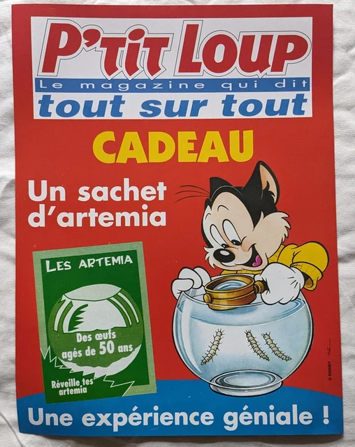 Tintin - Affiche officiel du film - grand format - Tintin