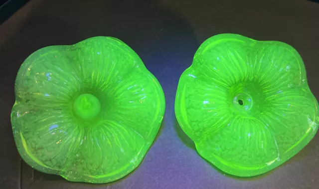 2 Antique Uranium Pressed Sandwich Glass Flower Curtain Tie-Backs No Brackets