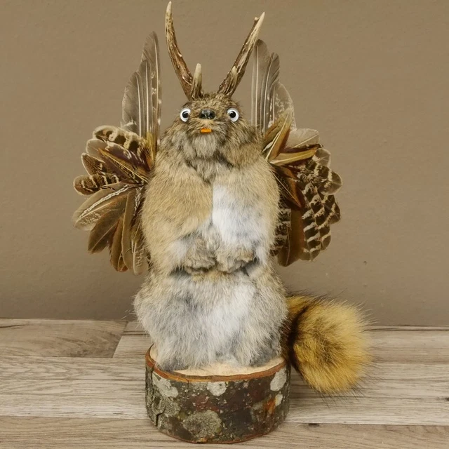 Wolpertinger Maclean Preparado Con Brillante Ojos Fabelwesen Ala Y Cornamenta