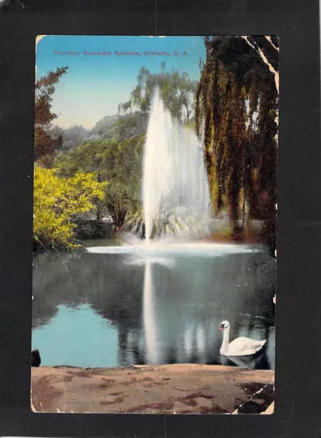 A5725 Australia SA Adelaide Botanic Gardens Fountain White Swan vintage postcard