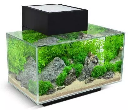 Fluval Edge 2.0 23L Black Aquarium