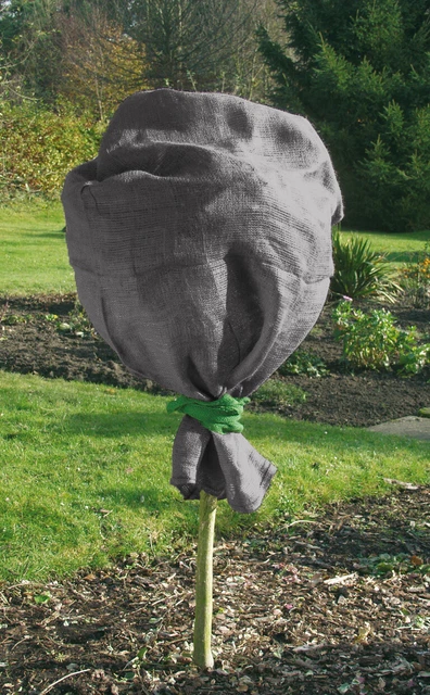 Gardissimo 663279 X-Jute-Schutzsack Anthrazit (100 x 110 cm) (Winterschutz)
