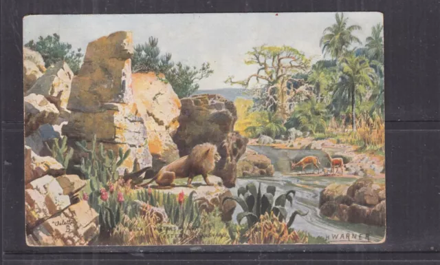 QUEENSLAND, 1908 ppc. African Jungle Scene, 1d. JONDARYAN to Gympie.