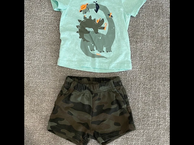 Carter’s Infant Baby Boy 2pcs Set 3months Dinosaurs Tshirt Shorts Green