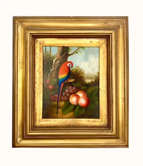 Painting Bird Tropical Parrot Oil on Canvas Signed Framed Old Vintage Art Decor