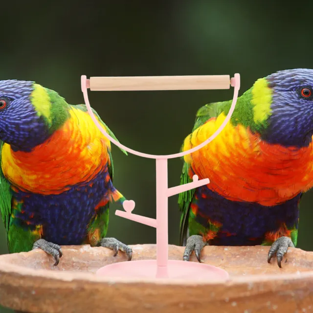 Papagei Vogel Barsch Holzspielzeug Kauspielzeug Für Vogelschaukeln Liefert