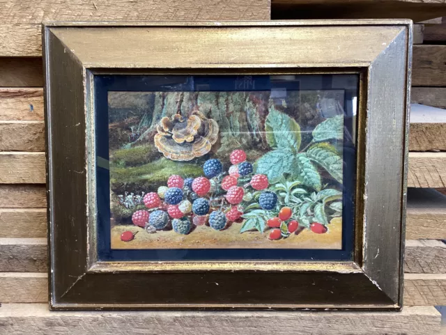 Antique Late 19th Century Watercolor Painting Still Life Berries & Mushrooms
