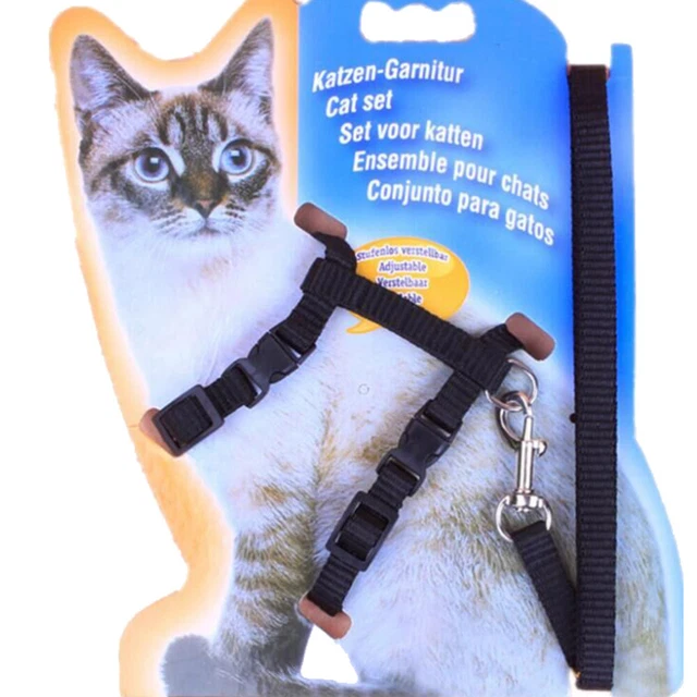 Cinghia di controllo corda portatile di sicurezza forniture per animali domestici cucciolo