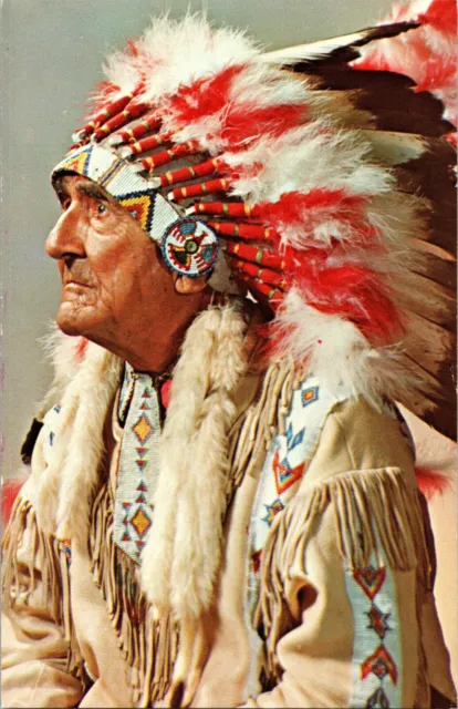 Chief William Red Fox Native American Indian First Nation Chrome Postcard