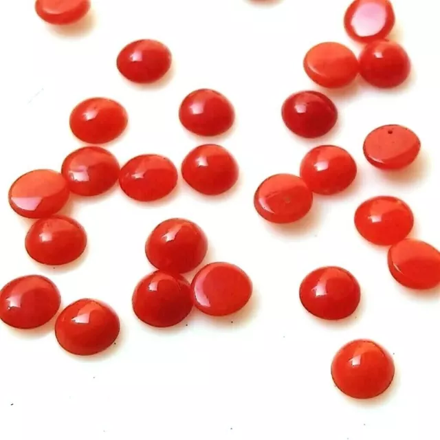 Wholesale Lot 3mm Round Cabochon Natural Italian Coral Loose Calibrated Gemstone