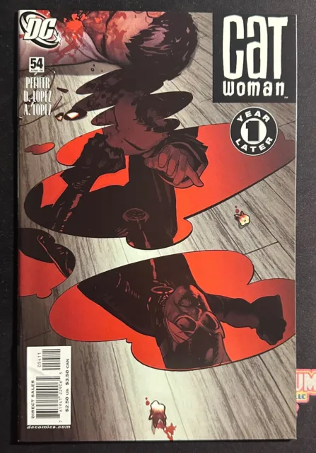 Cat Woman #54 (June 2006, DC Comics) 1 Year Later Tie In Adam Hughes Cover