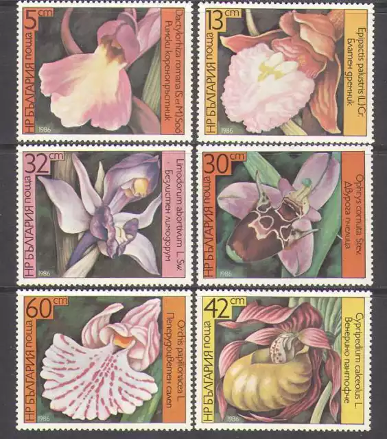 Bulgaria 1986 ORCHIDS/Flowers/Plants 6v set ref:s5289