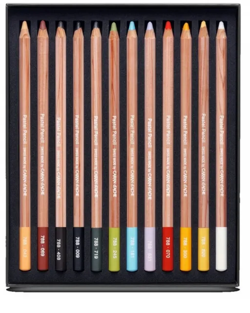 Caran Dache Extra Fine Dry Pastel Pencils Sketching Artist Colour Art Case Set 2