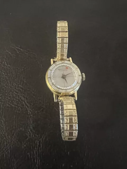 Brichot 17 jewels pocket watch sale