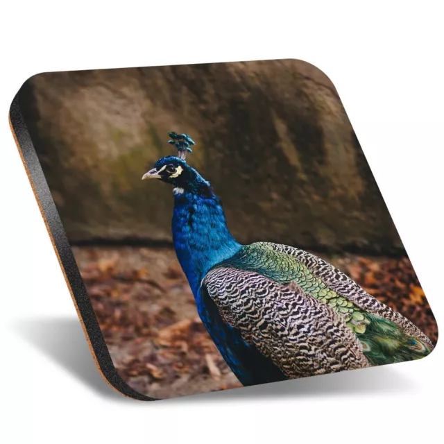 1x Square Coaster 12cm Colourful Peacock Blue Bird #50580