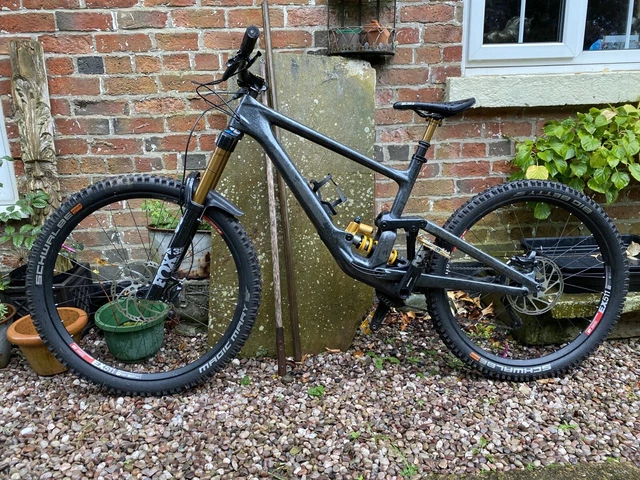 Specialized enduro hot sale custom paint