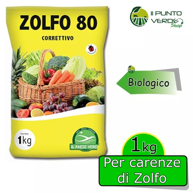 In offerta Thioplus 80 WP Zolfo in polvere bagnabile fungicida per –  Ecanshop