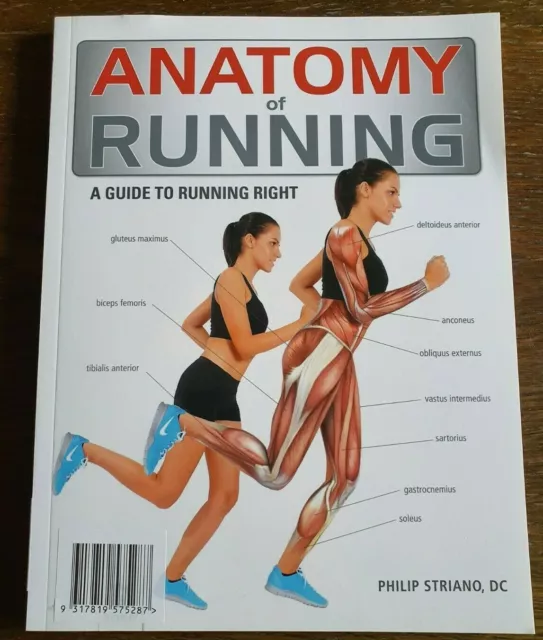 Anatomy Of Running by Philip Striano, DC - paperback Book