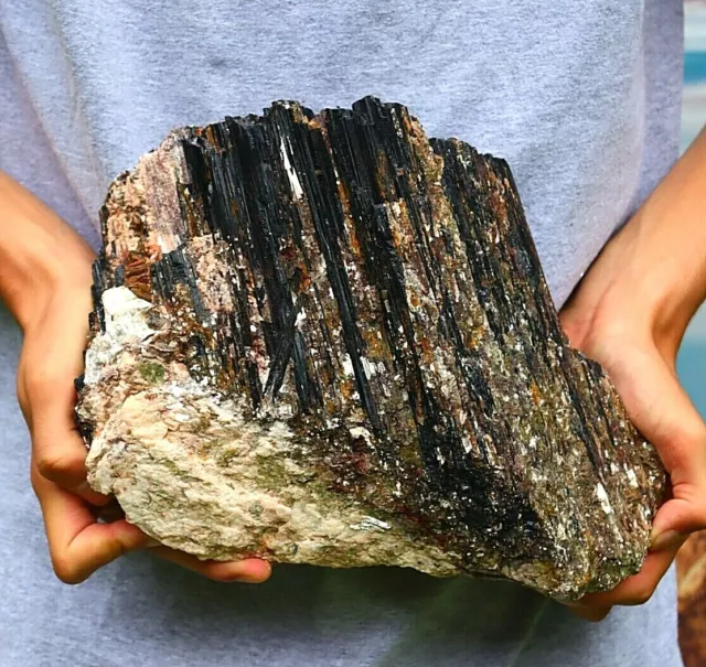 Schwarzer Turmalinkristall mit Moskauer Glimmer - riesige rohe mineralische Probe 6254g