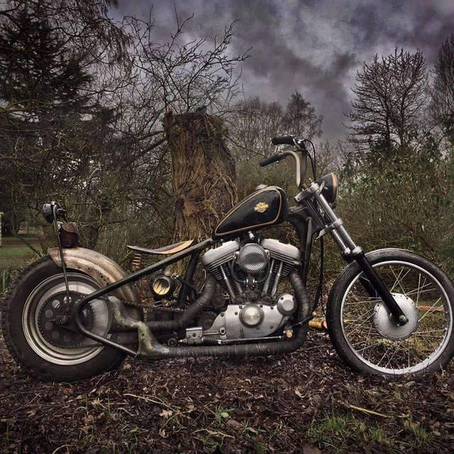 Evo Sportster Bobber Swingarm Bobber On Sale