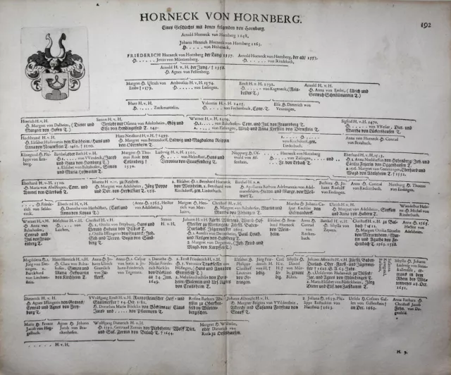 De Vveinheim - Stammtafel Armoiries Gravure sur Cuivre Family (Famille) Tree