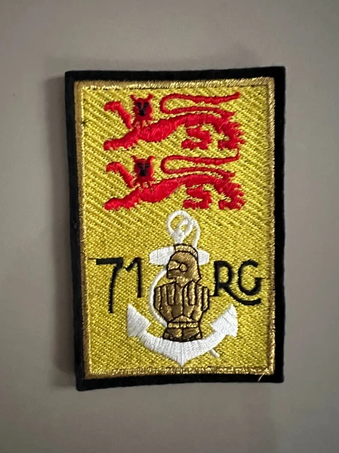 PATCH MILITAIRE INSIGNE patch armée militaire 71e Régiment du Génie RG ...