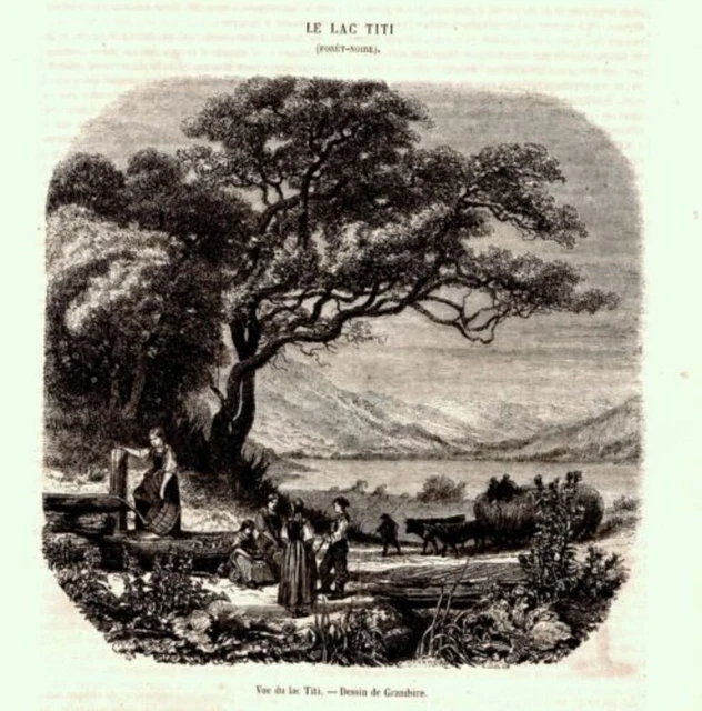 GRAVURE SUR BOIS 19ème VUE DU LAC TITI FORET NOIRE ALLEMAGNE