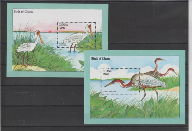 Ghana 1994 Fauna Vögel - 2 Bf Foto MNH MF121825