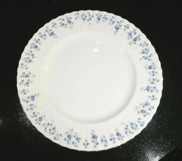 Beautiful Royal Albert Memory Lane Dinner Plate