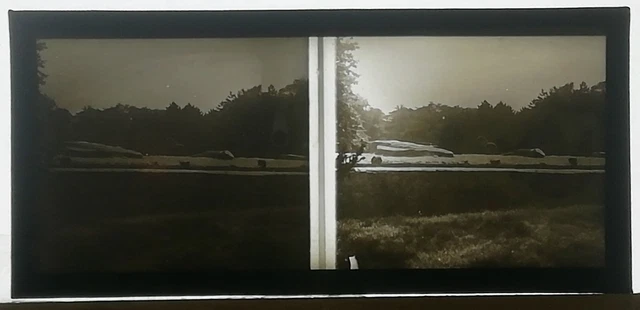 zc03 positive stereo glass plate BE circa 1920 landscape rocks trees