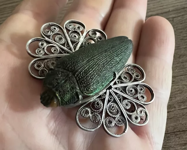 Broche ancienne Époque 1900 « Scarabée Véritable » - argent massif