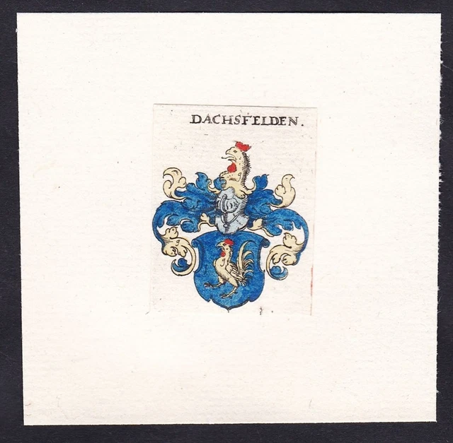 Dachsfelden Escudo Abrigo De Arms Heráldica Grabado 17. Jh