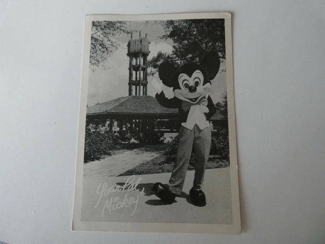 70'S WALT DISNEY B&W Souvenir Photo 'Your Pal, Mickey' Mouse 5 X 7~WDW ...