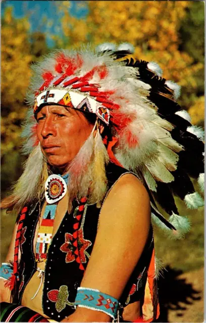 Vtg Postcard, Native American  In Full Dress