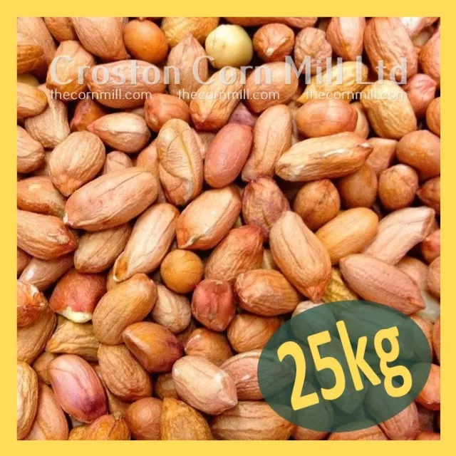 25 kg *grade premium* arachides pour oiseaux sauvages - amandes d'arachide noix alimentaires pour oiseaux