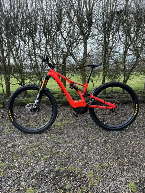 2019 levo comp sales carbon