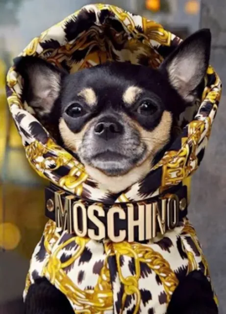 Moschino 2024 dog leash