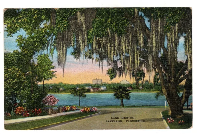 Postcard FL Lakeland Lake Morton Vintage View Florida Flowers Trees