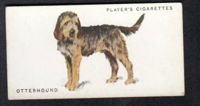 OTTERHOUND Vintage 1931 Arthur Wardle Dog Painting Card