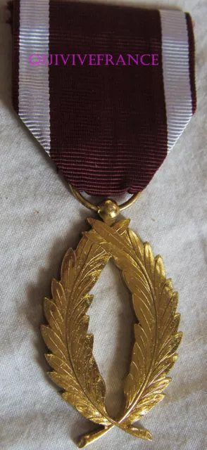 DEC5434 - Medaille Plames Akademische - Belgien