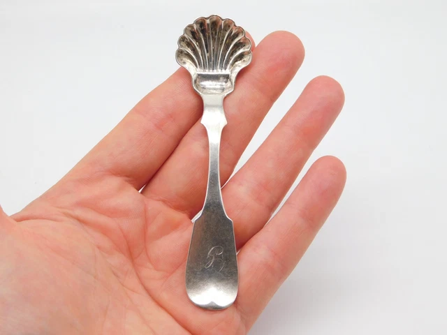 Antique Delaware Coin Silver Ziba Ferris & Son Seashell Master Salt Spoon