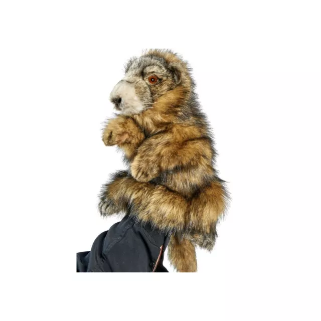 Peluche marionnette Marmotte Folkmanis 